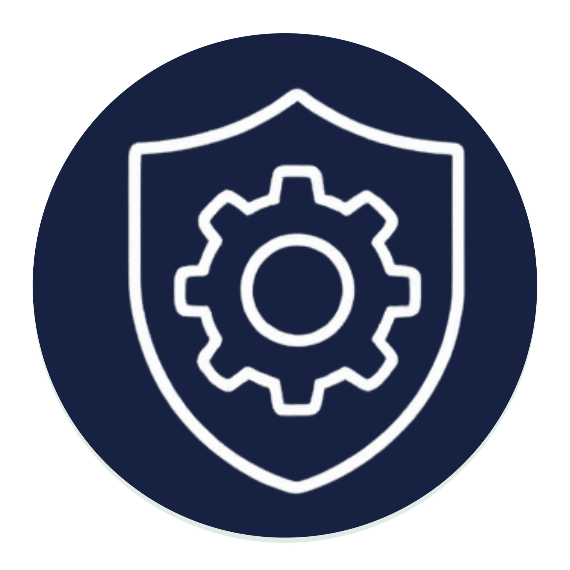 Operational Resilience Programs Icon